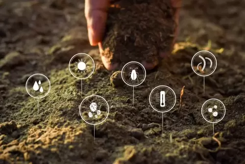 ImageForArticle_22553_16530439802716013